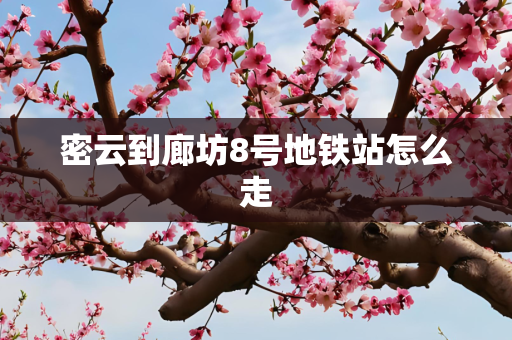 密云到廊坊8号地铁站怎么走