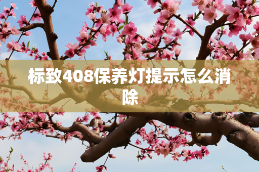 标致408保养灯提示怎么消除