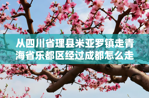 从四川省理县米亚罗镇走青海省乐都区经过成都怎么走比较近