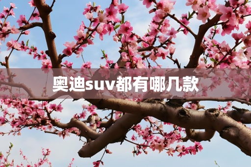 奥迪suv都有哪几款