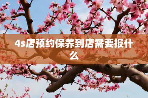 4s店预约保养到店需要报什么