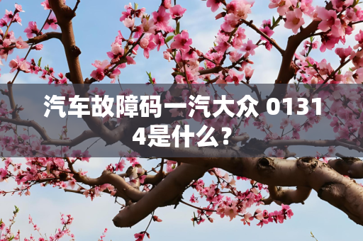汽车故障码一汽大众 01314是什么？