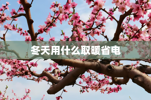 冬天用什么取暖省电