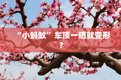 “小蚂蚁”车顶一晒就变形？