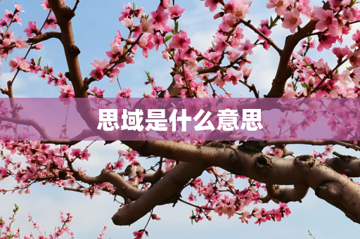思域是什么意思