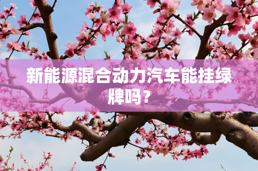 新能源混合动力汽车能挂绿牌吗？
