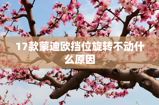17款蒙迪欧挡位旋转不动什么原因