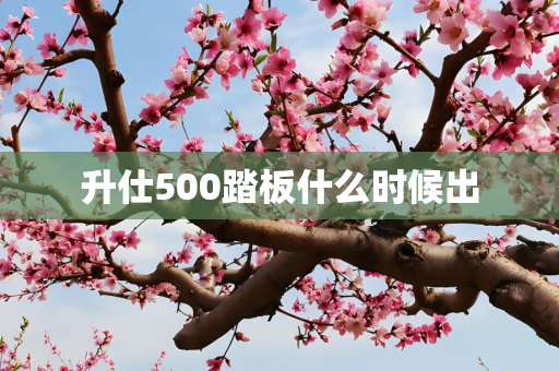 升仕500踏板什么时候出