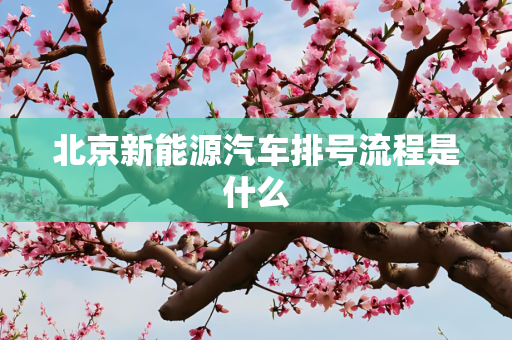 北京新能源汽车排号流程是什么