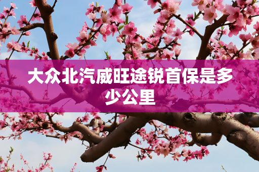 大众北汽威旺途锐首保是多少公里