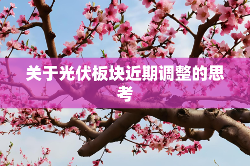 关于光伏板块近期调整的思考