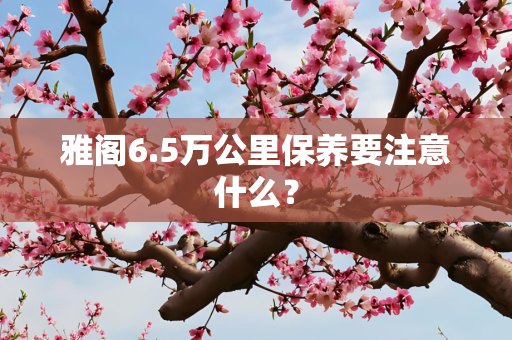 雅阁6.5万公里保养要注意什么？
