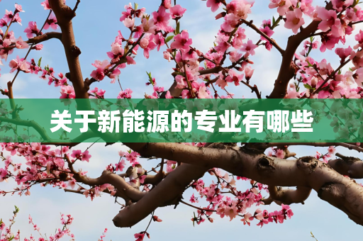 关于新能源的专业有哪些