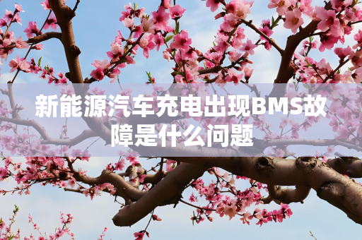 新能源汽车充电出现BMS故障是什么问题