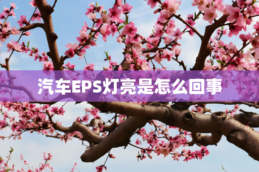 汽车EPS灯亮是怎么回事