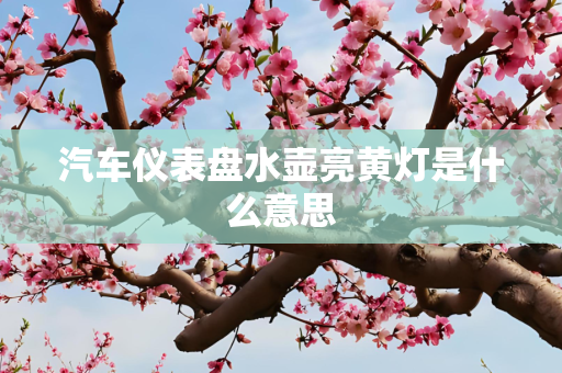 汽车仪表盘水壶亮黄灯是什么意思