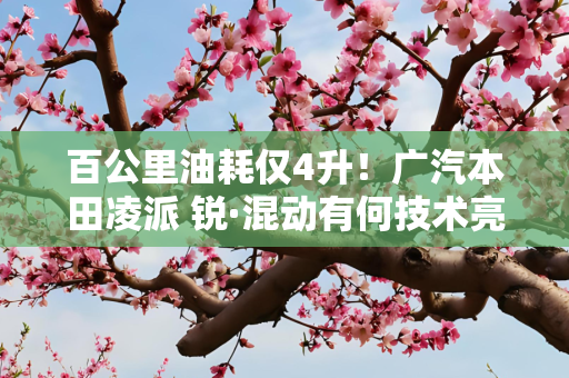 百公里油耗仅4升！广汽本田凌派 锐·混动有何技术亮点？