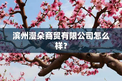 滨州漫朵商贸有限公司怎么样？