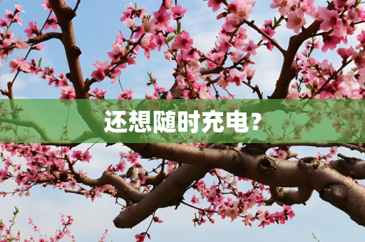 还想随时充电？