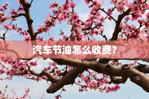 汽车节油怎么收费？