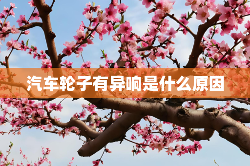 汽车轮子有异响是什么原因