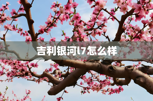 吉利银河l7怎么样