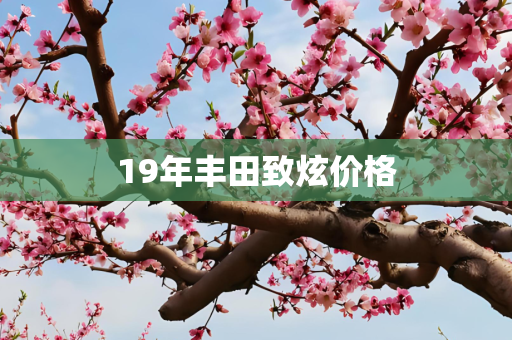 19年丰田致炫价格