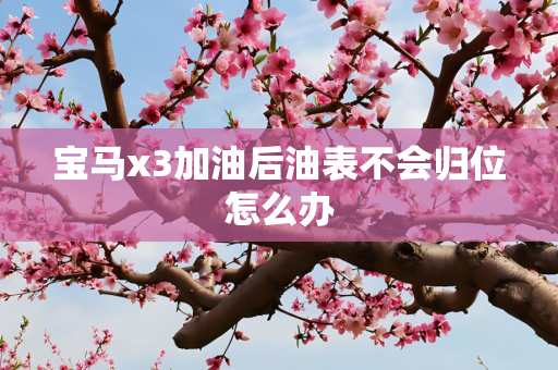 宝马x3加油后油表不会归位怎么办