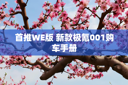 首推WE版 新款极氪001购车手册