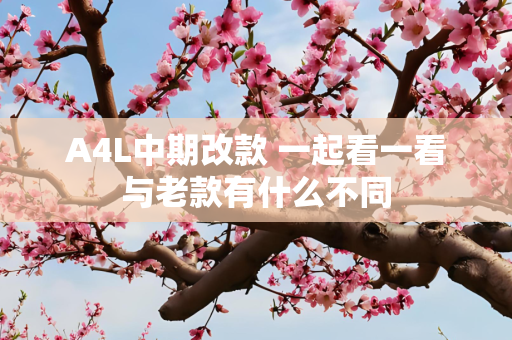 A4L中期改款 一起看一看与老款有什么不同
