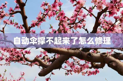 自动伞撑不起来了怎么修理