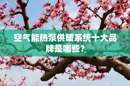 空气能热泵供暖系统十大品牌是哪些？
