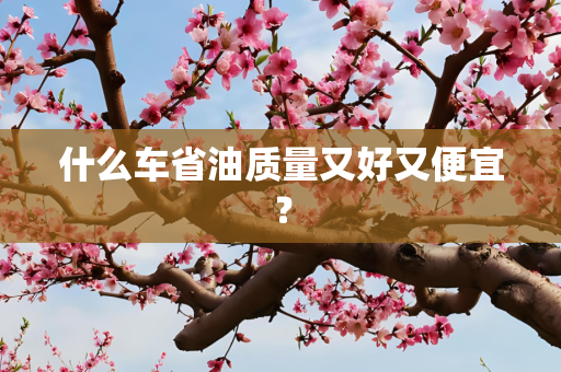 什么车省油质量又好又便宜？