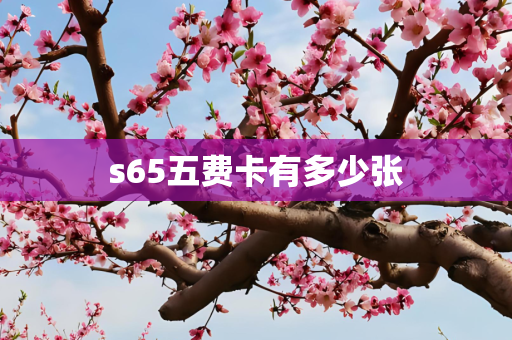 s65五费卡有多少张
