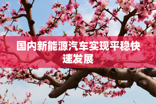 国内新能源汽车实现平稳快速发展