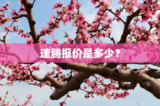 速腾报价是多少？