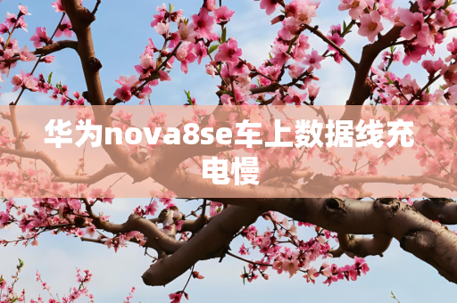 华为nova8se车上数据线充电慢