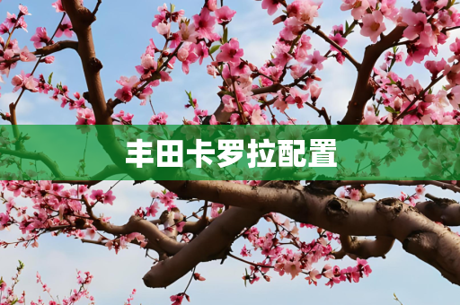 丰田卡罗拉配置