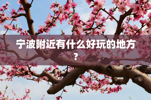 宁波附近有什么好玩的地方?