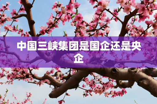 中国三峡集团是国企还是央企
