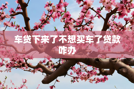 车贷下来了不想买车了贷款咋办