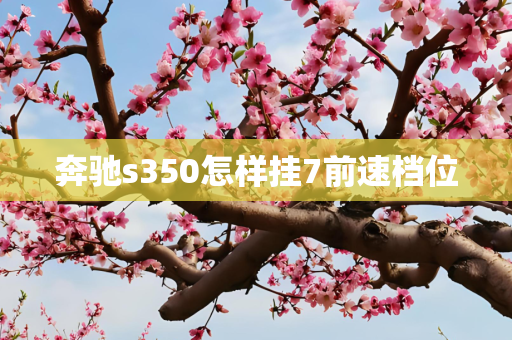奔驰s350怎样挂7前速档位