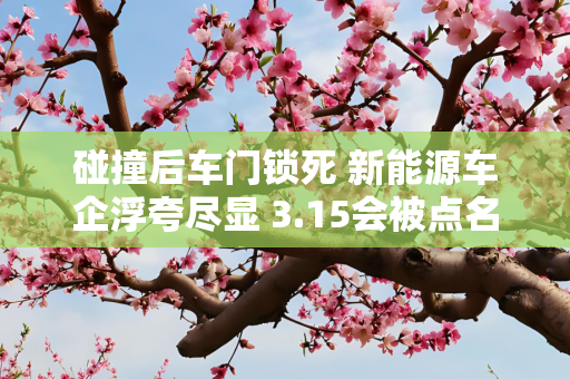 碰撞后车门锁死 新能源车企浮夸尽显 3.15会被点名吗？