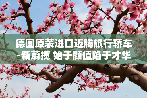 德国原装进口迈腾旅行轿车-新蔚揽 始于颜值陷于才华