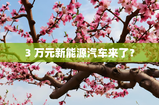3 万元新能源汽车来了？