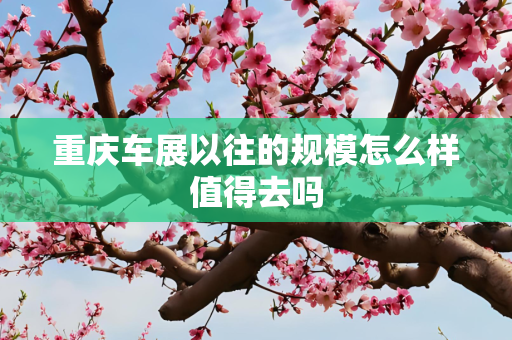 重庆车展以往的规模怎么样值得去吗