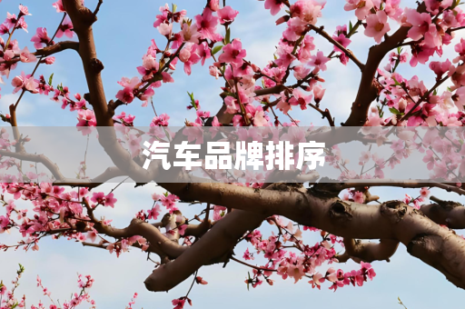 汽车品牌排序