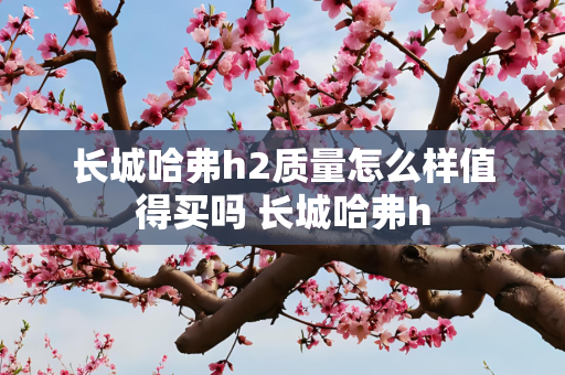 长城哈弗h2质量怎么样值得买吗 长城哈弗h