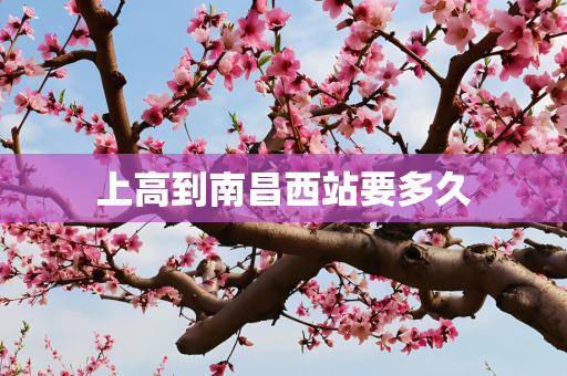 上高到南昌西站要多久