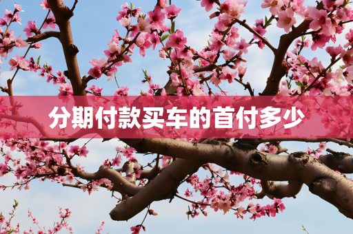 分期付款买车的首付多少